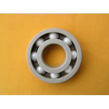 Peek Plastic Bearing